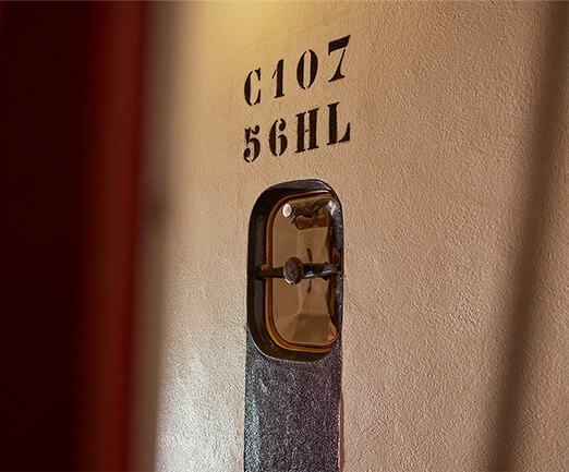 Vinification Image 3