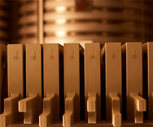 Vinification Image 4